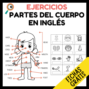 fichas de ejercicios vocabulario de partes del cuerpo humano en ingles para niños de primaria