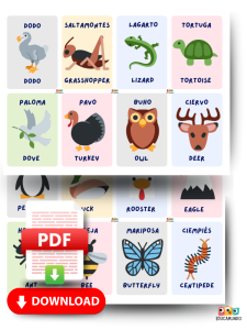 Imagen de fichas educativas con nombres de animales en inglés y español