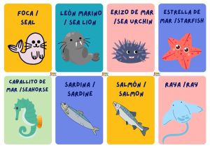 animales marinos en ingles fichas