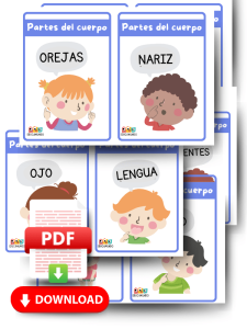 Recursos didácticos para identificar y aprender las partes del cuerpo humano, diseñados para facilitar el aprendizaje visual en niños