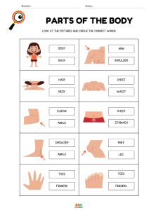 fichas de ejercicios vocabulario de partes del cuerpo humano en ingles para niños de primaria