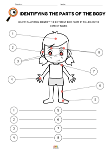 fichas de ejercicios vocabulario de partes del cuerpo humano en ingles para niños de primaria