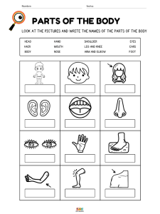 fichas de ejercicios vocabulario de partes del cuerpo humano en ingles para niños de primaria