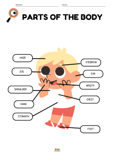 fichas de ejercicios vocabulario de partes del cuerpo humano en ingles para niños de primaria