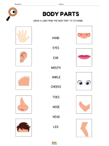 fichas de ejercicios vocabulario de partes del cuerpo humano en ingles para niños de primaria