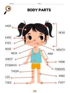 fichas de ejercicios vocabulario de partes del cuerpo humano en ingles para niños de primaria