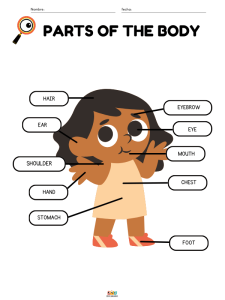 fichas de ejercicios vocabulario de partes del cuerpo humano en ingles para niños de primaria