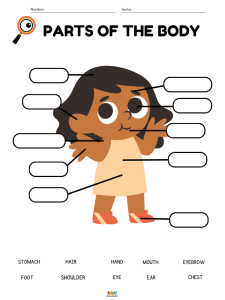 fichas de ejercicios vocabulario de partes del cuerpo humano en ingles para niños de primaria