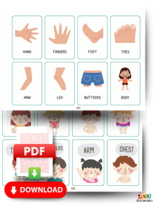 partes del cuerpo en ingles fichas de vocabulario ingles 1