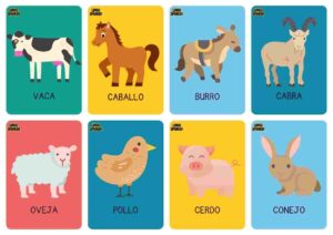 animals in spanish vocabulary 1