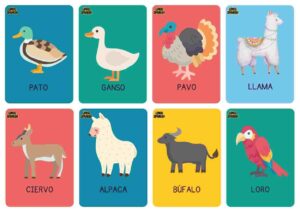 animals in spanish vocabulary 2