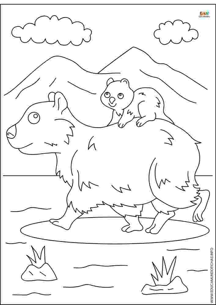 Dibujos de Capibaras