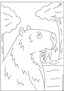 dibujos de capibara para colorear
