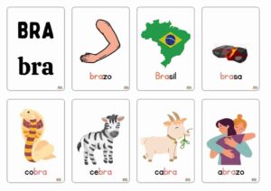 palabras con bra bre bri bro bru