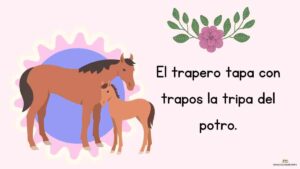 El trapero tapa con trapos la tripa del potro.