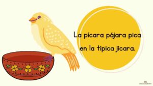 La pícara pájara pica en la típica jícara.