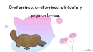 Ornitorrinco, ornitorrinco, atrévete y pega un brinco.
